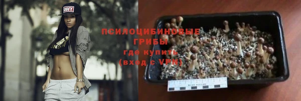 амф Аркадак