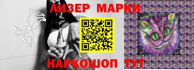 трава Кинель