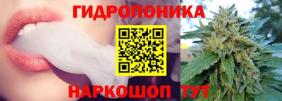 трава Кинель