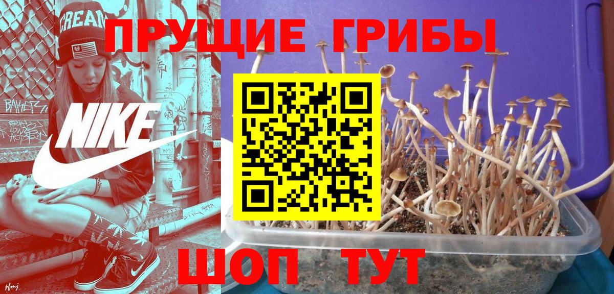 Нягань  Псилоцибиновые грибы MAGIC MUSHROOMS  Вход с VPN 